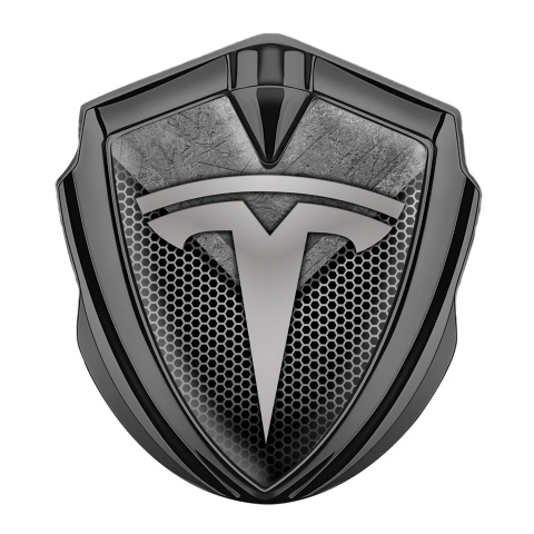 Tesla Emblem Abzeichen Graphit Tonfarbe Mesh mit Asphalt Stil