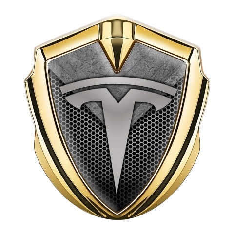 Tesla Emblem Abzeichen Goldtonfarbe Mesh mit Asphalt Stil