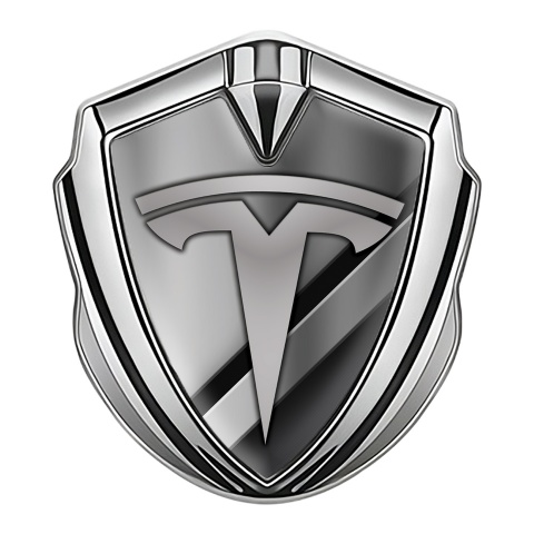 Tesla Seitenflugel Emblem Aufkleber Silbertonfarbe Diagonale Details Stil