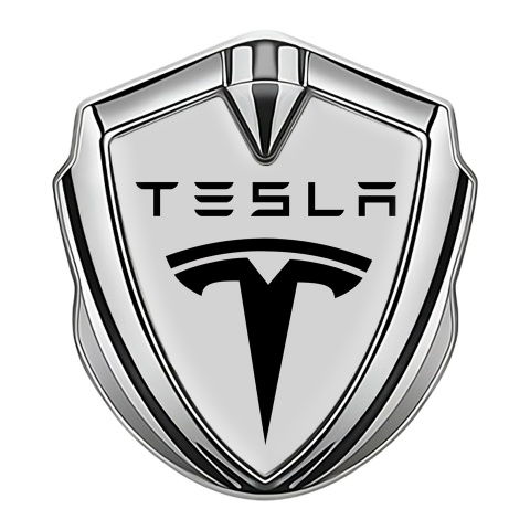 Tesla Seitenflugel Emblem Aufkleber Silbertonfarbe Grau Basis mit Schwarz Logo