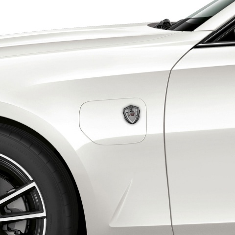 Ford RS Selbstklebendes Metallaufkleber Emblem Graphit Tonfarbe mit Blindeffekt Design