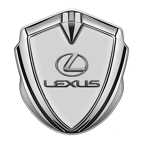 Lexus Seitenflugel Emblem Aufkleber Silbertonfarbe Grau Auflage