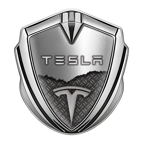 Tesla Selbstklebendes Metallaufkleber Emblem Silbertonfarbe Doppelte Textur Auflage