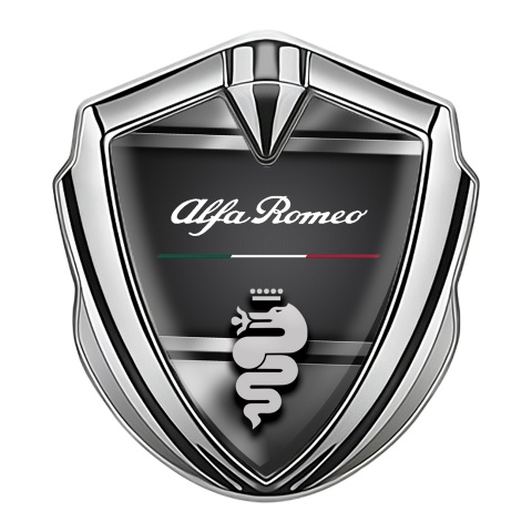 Alfa Romeo Emblem Logo Schriftzug Aufkleber Silbertonfarbe Metall Rahmen Stil