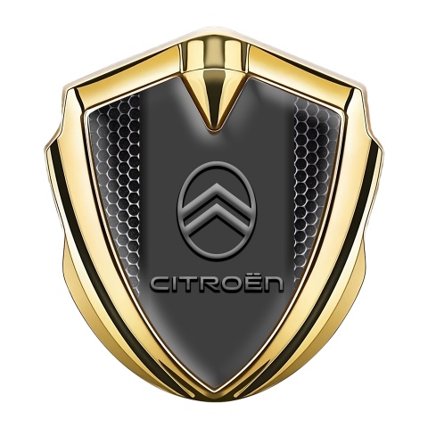 Citroen Emblem Abzeichen Goldtonfarbe Perforierter Stahl Version